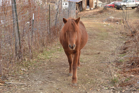 Tyra heading to the arena